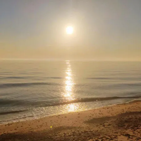Mare Fuori